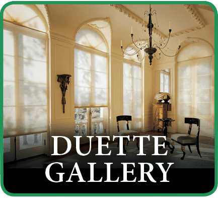Hunter Douglas Duette Window Treatment Gallery in Southlake, Texas (TX)