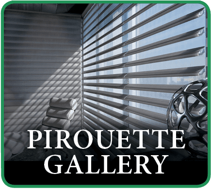 Hunter Douglas Pirouette Window Treatment Gallery in Southlake, Texas (TX)