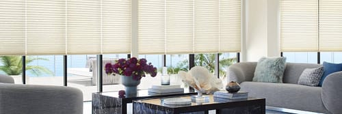 Premium Hunter Douglas Window Shades for Homes